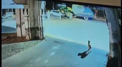 Think they'll need and extractor to get them out?