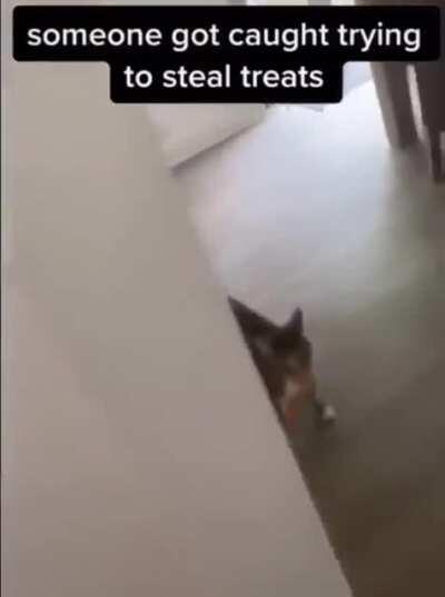 Dang it....not again!