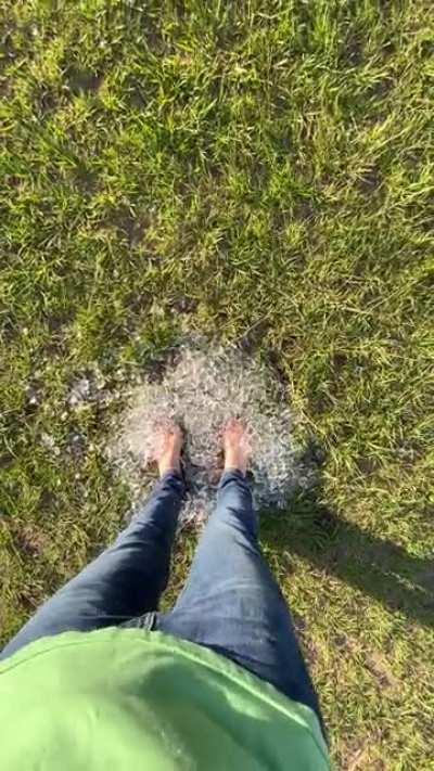 If this isn’t the dumbest shit. Now I know why anti gunners want guns out of peoples hands, we got retards like this making cool vids By Bointatya