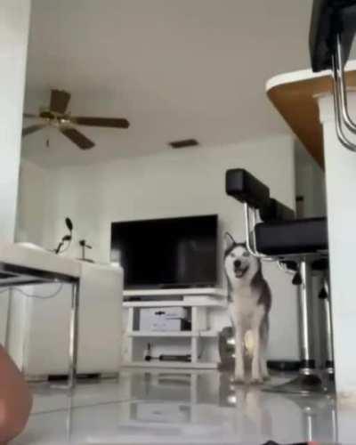 You ain’t foolin this guy