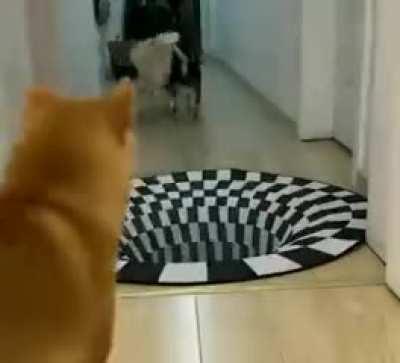 watch out guys, don't fall!