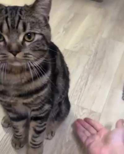 Hand ... another hand ... feet?!