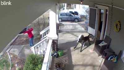 He doesn’t bite he just wants to smell you