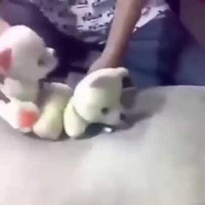 No duele 😈👌🏿