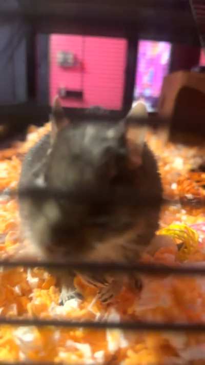 someone woke up with a lot of feelings today