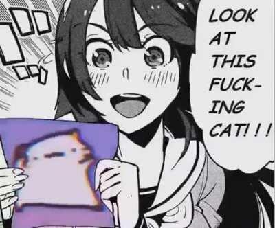 The cat do be vibing tho