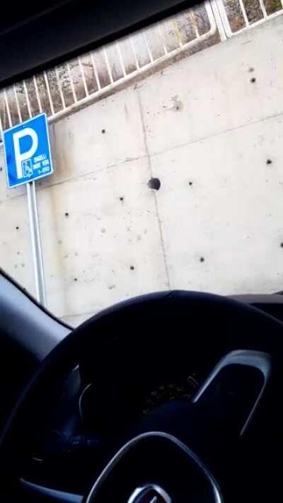 D dostum bu şarkı harika