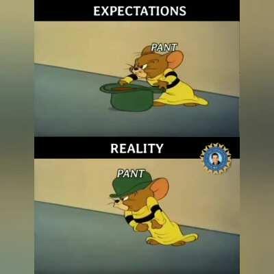 Expected vs Reality (Not OC)