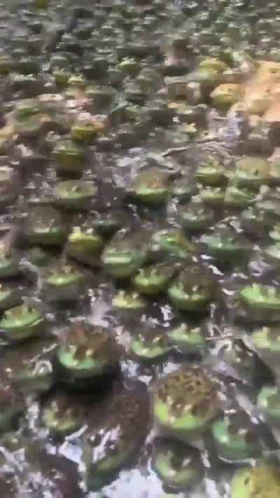 Have yourself a merry little Wednesday, my dudes