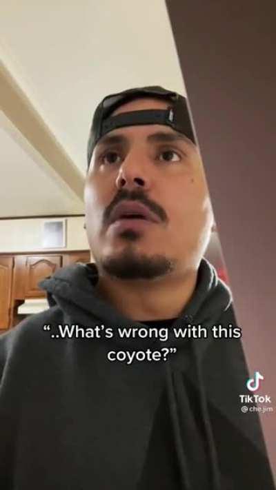 Have a Halloween laugh.