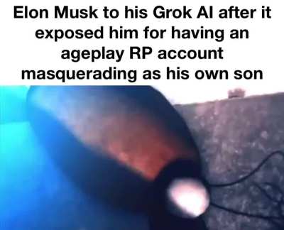 No dolphins required