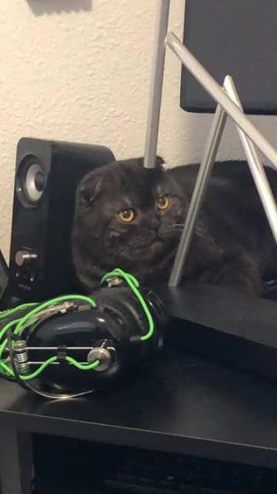 Can I move this? This is crazy it’s like a Ferris wheel. No.