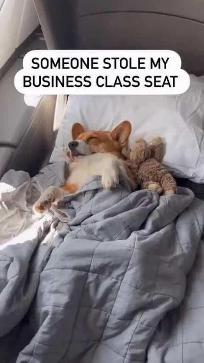 Enjoying peaceful nap on flight