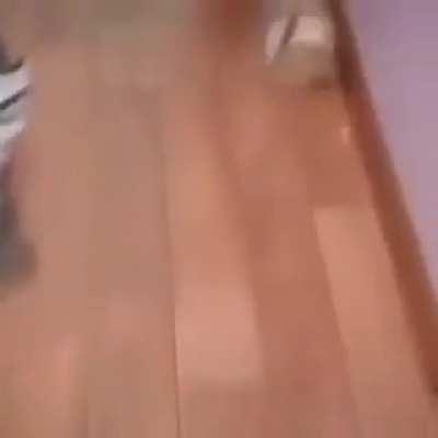 ‎‎‎‎‎‎‎‎‎