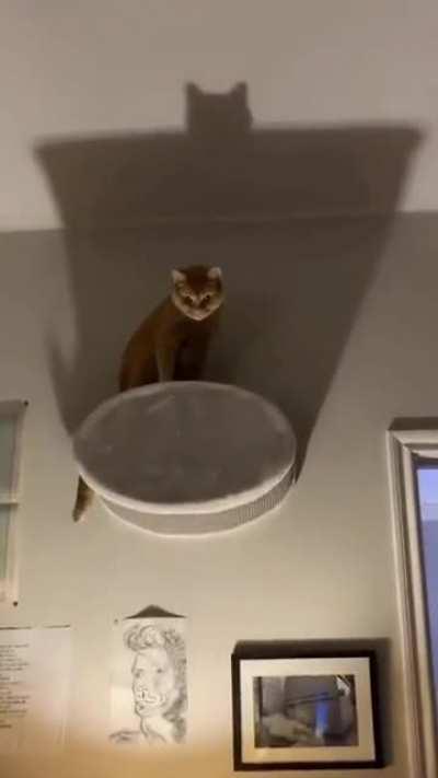 Showing her true colors😈