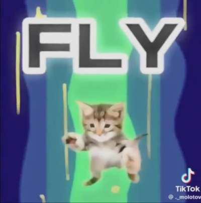 Music is like music to my ears