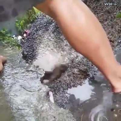 TEAMWORK MAKES THE DREAM WORK