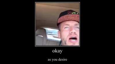 This shit makes me laugh so hard