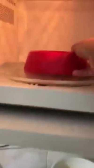 Regular dog food with a little drama .