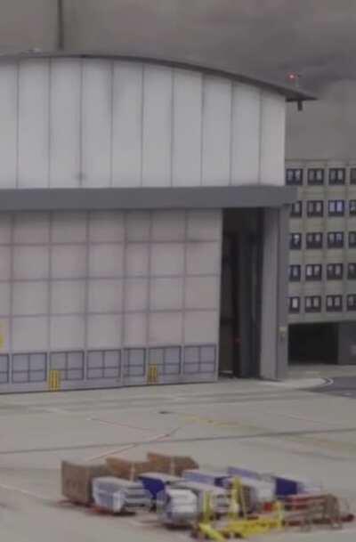 Watch the tiny kitten come out of the hangar (best with sound)