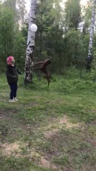 Because you can't play 