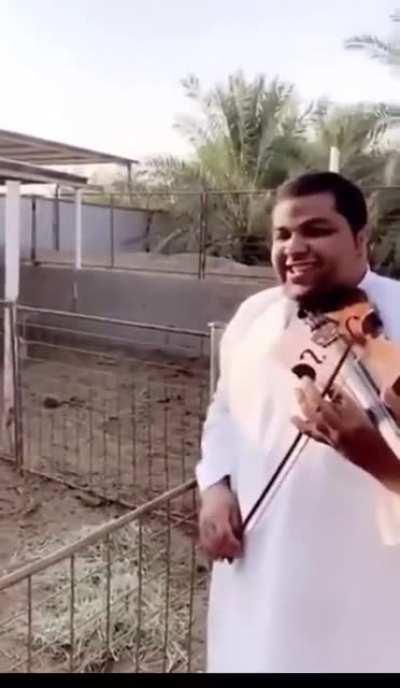 I forgot the original title