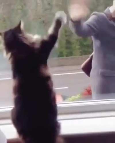 Professional Greeter