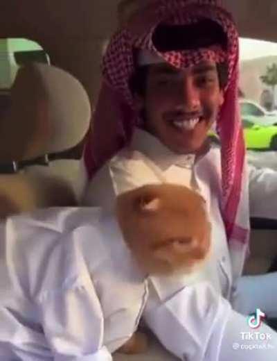 The little thobe tho