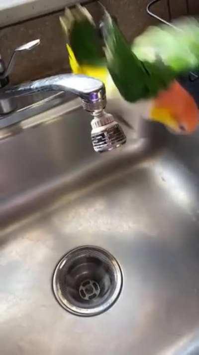 Party in the waterfall