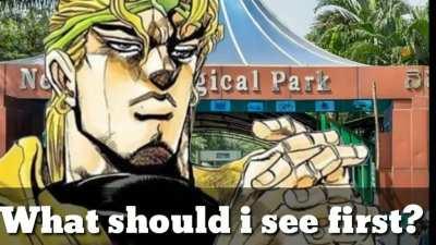 Dio visits the zoo