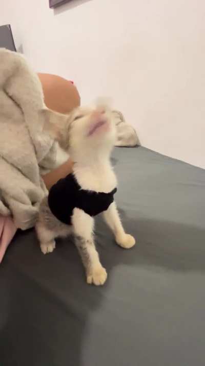 Twinkle wearing the shirt I made for her