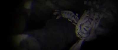 The 1997 anime may still be better, but this scene from the 3rd movie is... 