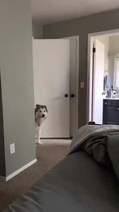 He’s trying to tell you something