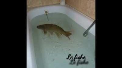 so inspirational. 😔 I’m literally crying on the floor rn 😭😭😭