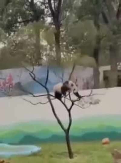 Этим вечером