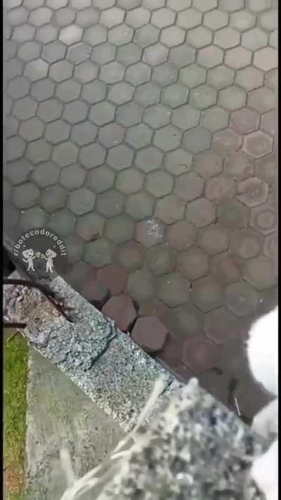 Mais emocionante que muito filme de ação 