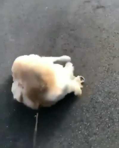 Houston, we have a problem...