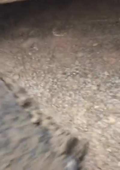 Phone fell while shutting the door and suffered the drive