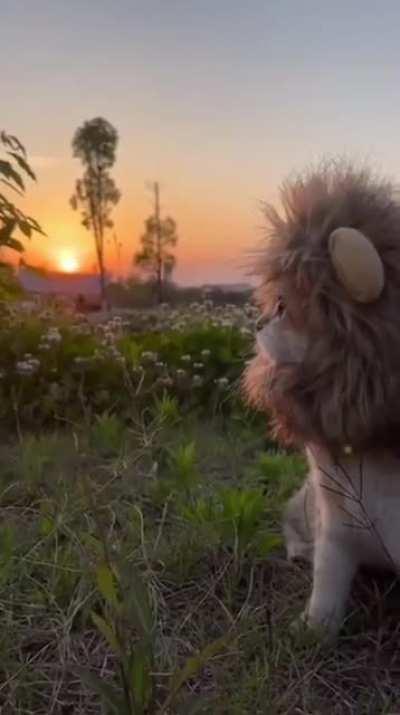 Aww this is so cute 🥺