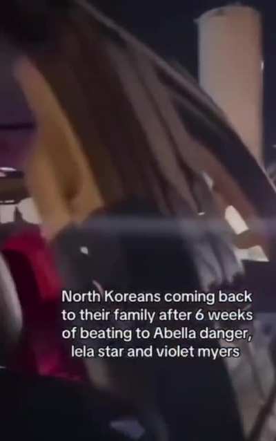 I am north koreans irl