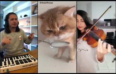 Davie, add SLAP to this!