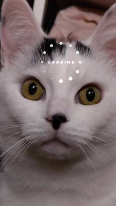 She's not smart, so my friend animated a picture...