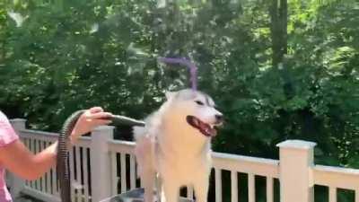 Boys Gets Ready For Summer