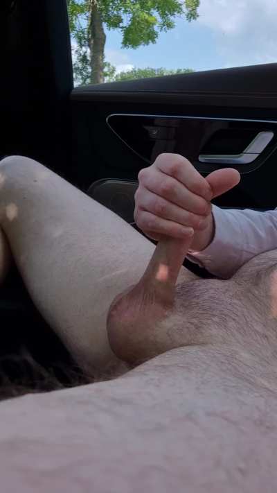 Countryside Car Jacking (34)