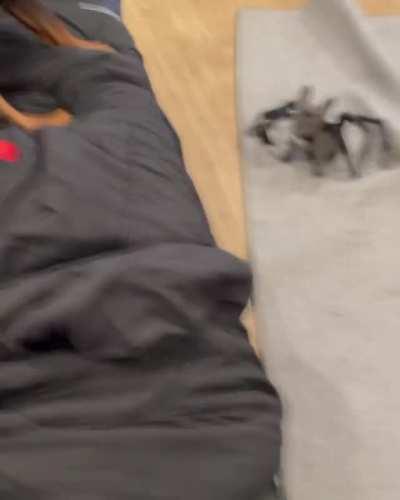 Sometimes Halloween Costumes Look Real