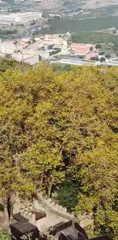 mfw when the Portuguese landmark