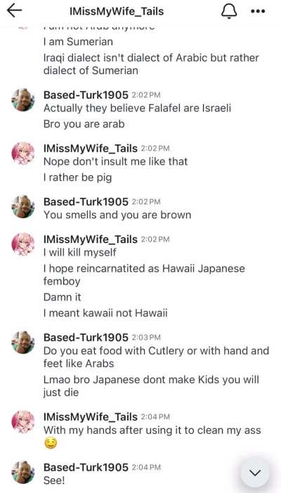 Discussion between a Turkish nationalist 🇹🇷 from Germany and an Iraqi 🏳️‍🌈🏳️‍⚧️🇮🇶Femboy