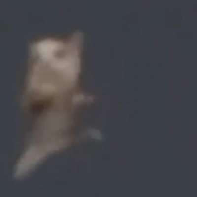 LOOK HOW CUTE HE IS!!!