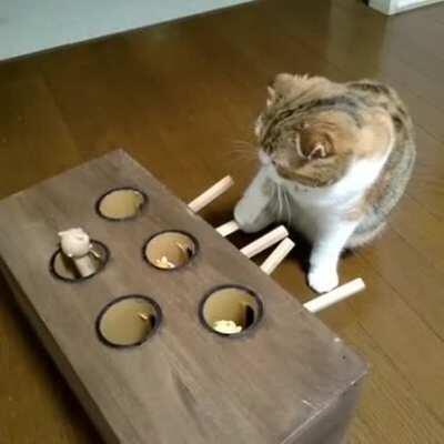 whack-a-mole operator. , and player. . .