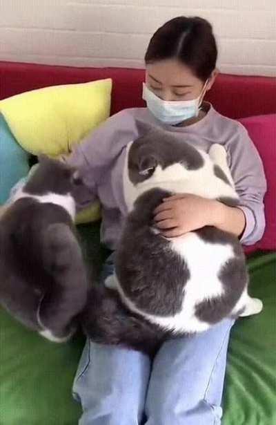 When everyday is lasagna day